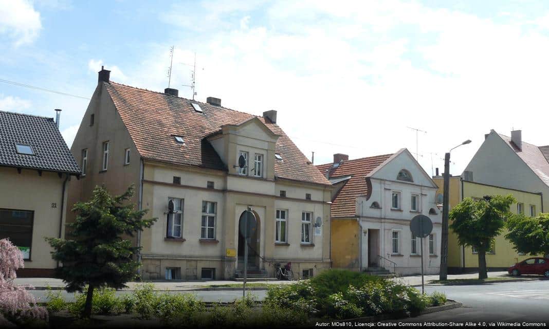 Świąteczne Rozświetlenie Choinki w Mogilnie